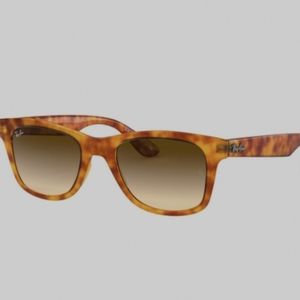 Ray-Ban Tortoise Shell Sunglasses